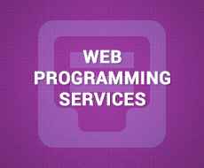 Web Programming Services